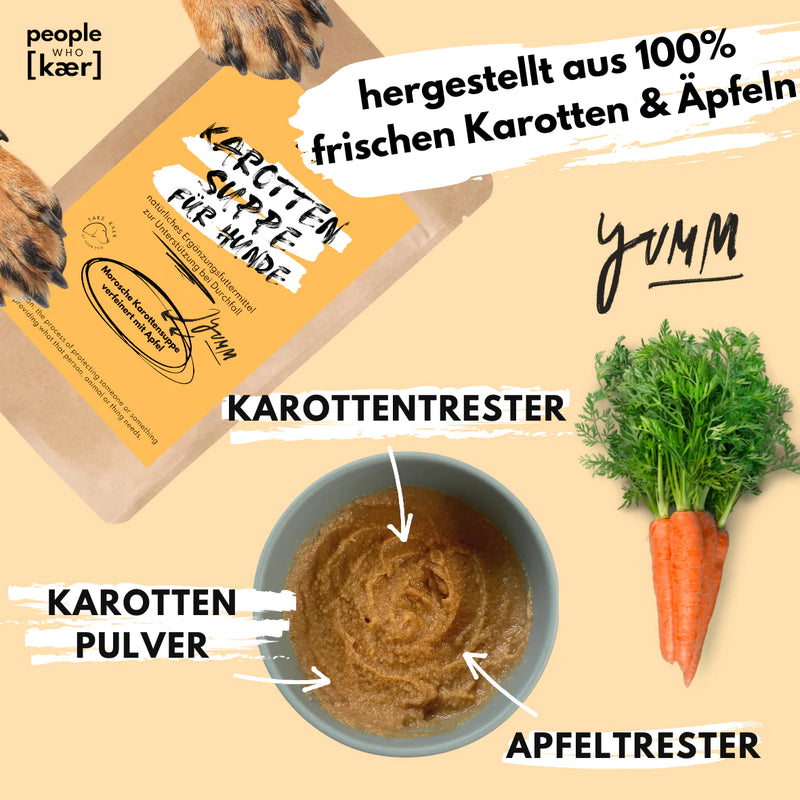 Morosche Karottensuppe - Karottenpulver mit Apfel verfeinert (200g)