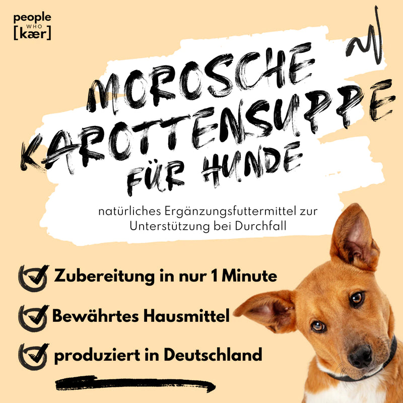 Morosche Karottensuppe - Karottenpulver mit Apfel verfeinert (200g)