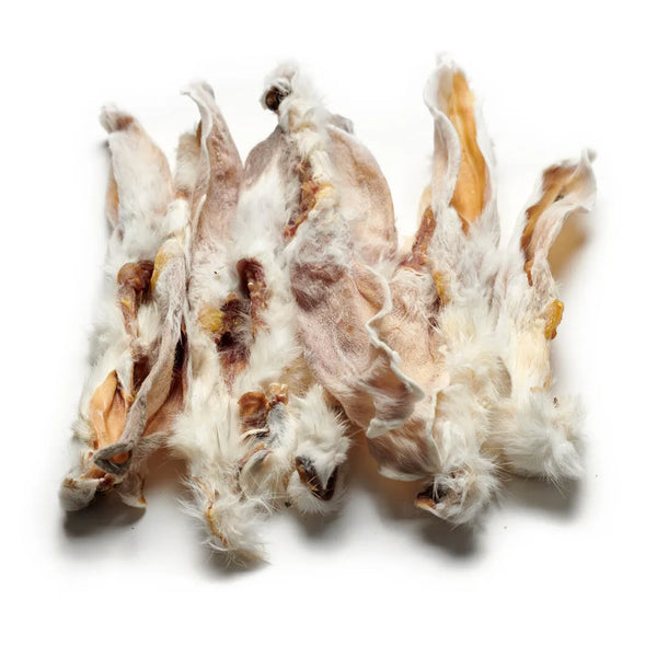 Kaninchen Ohren mit Fell
