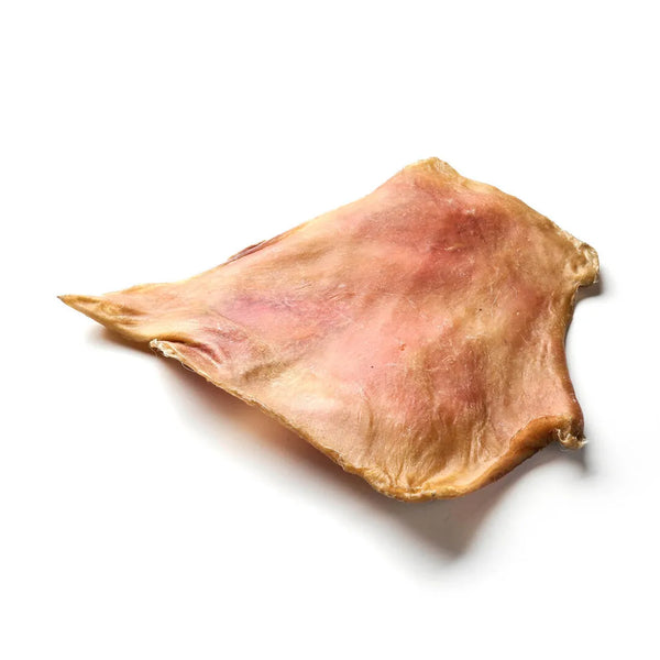 Rinder Kopfhautplatten