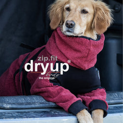 Dryup  ZIP FIT bordeaux