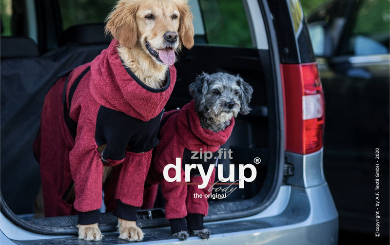 Dryup  ZIP FIT bordeaux