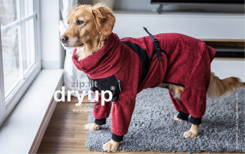Dryup  ZIP FIT bordeaux