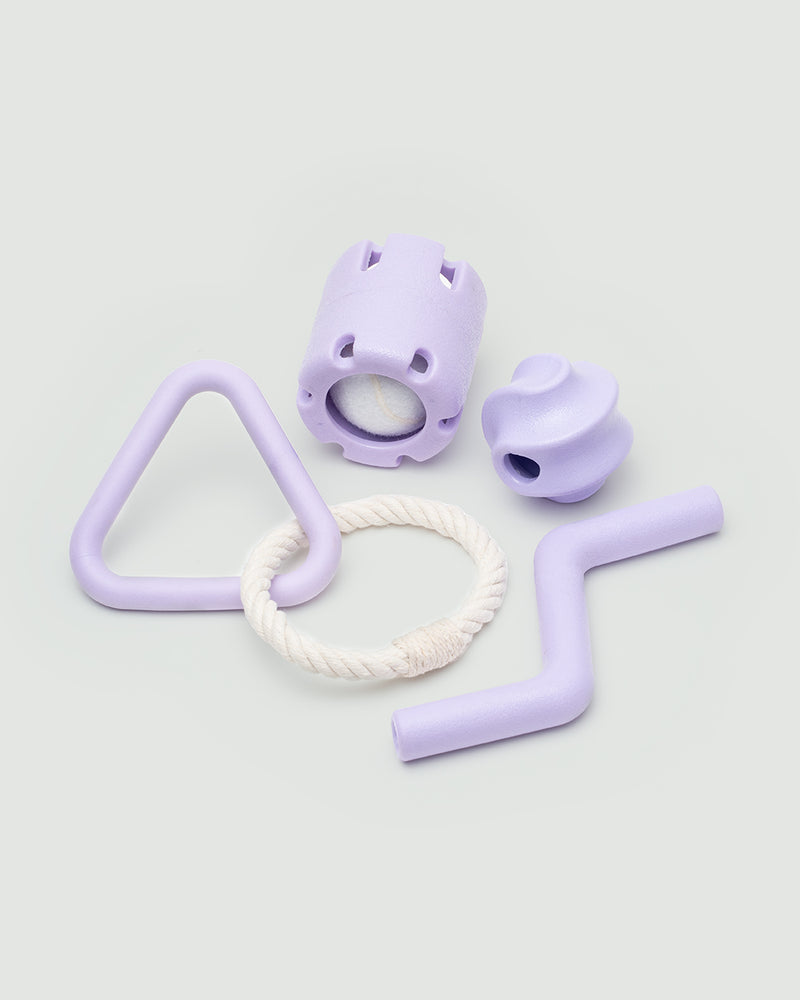 Toy Set in purple