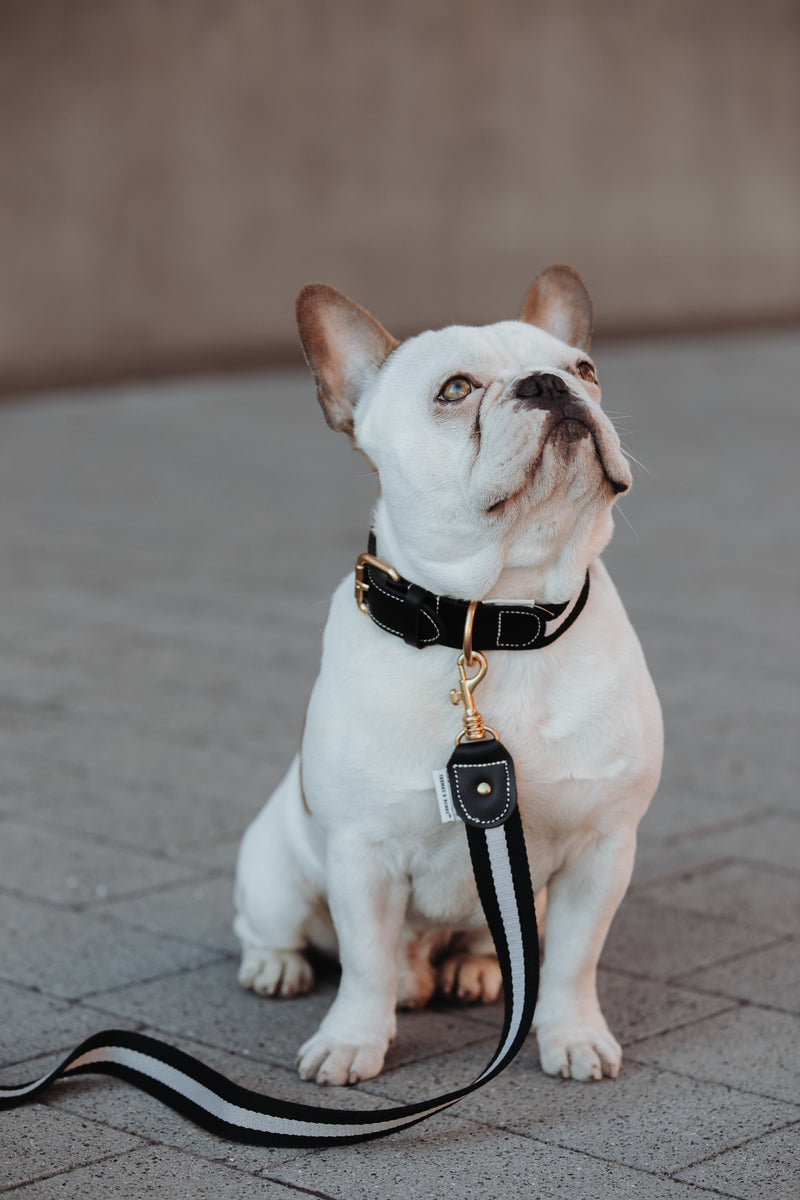 BoHo-Chic </p> Set Hundehalsband und Leine night