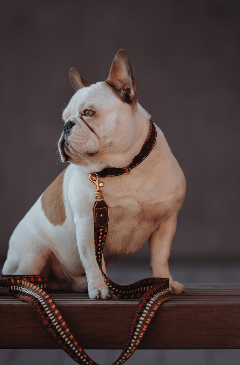 BoHo-Chic </p> Hundehalsband nature