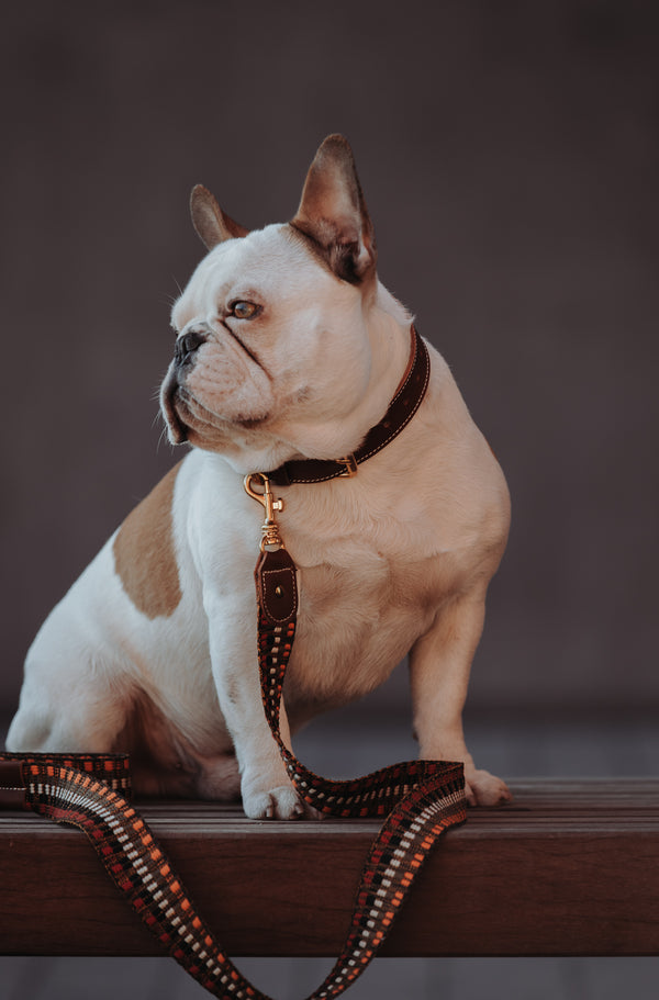 BoHo-Chic </p> Set Hundehalsband und Leine nature