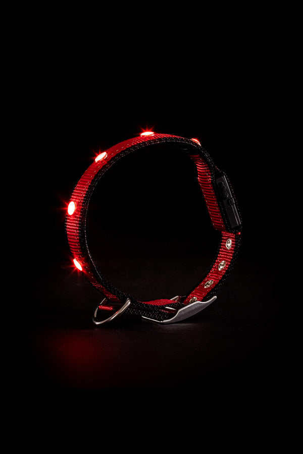 Diamant LED-Leuchthalsband in rot