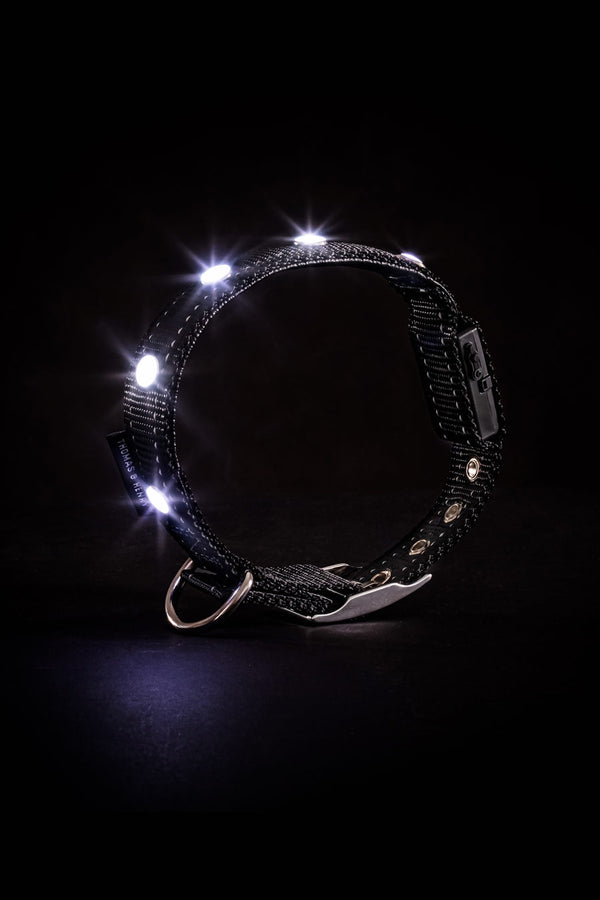 Diamant LED-Leuchthalsband in schwarz