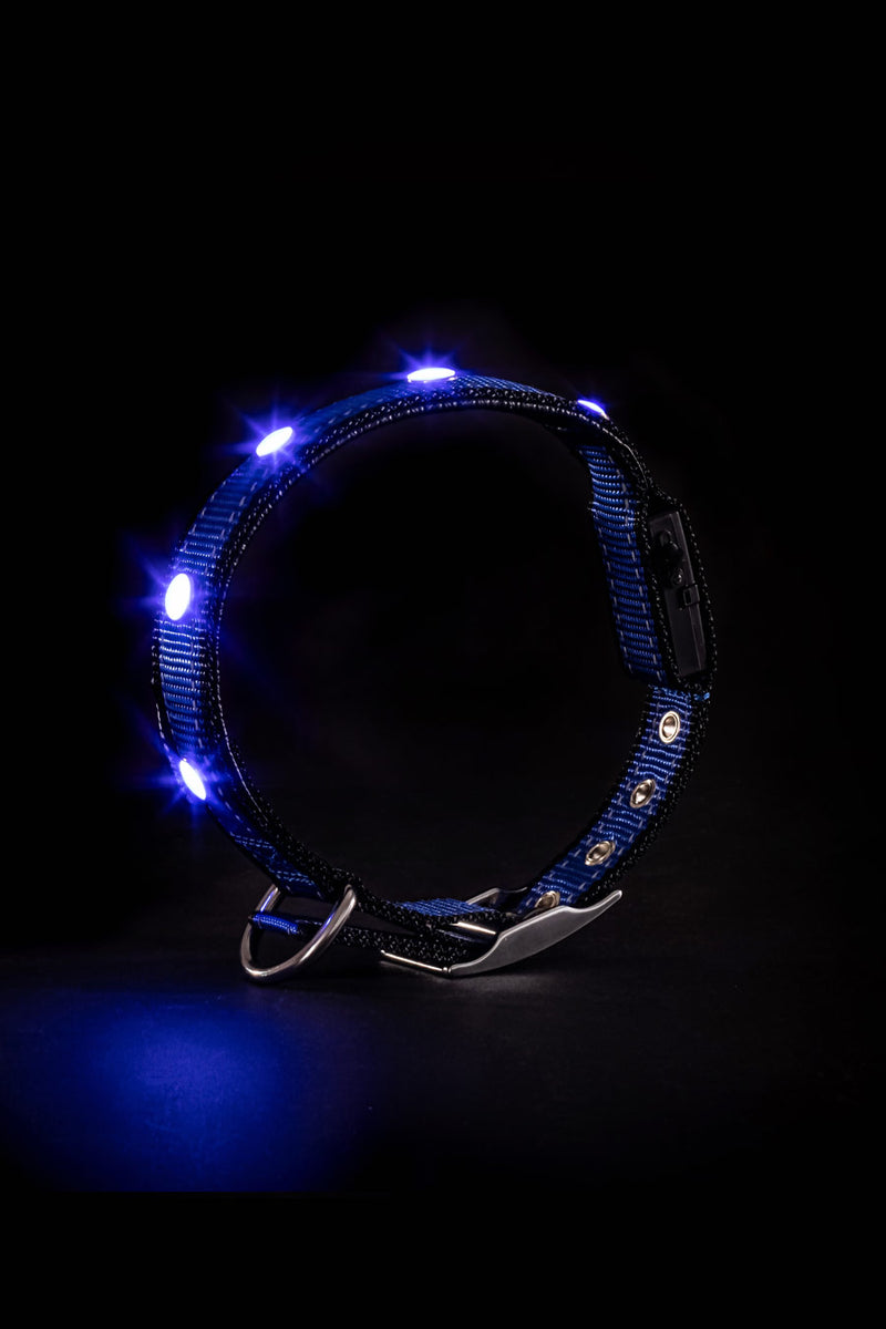 Diamant LED-Leuchthalsband in blau
