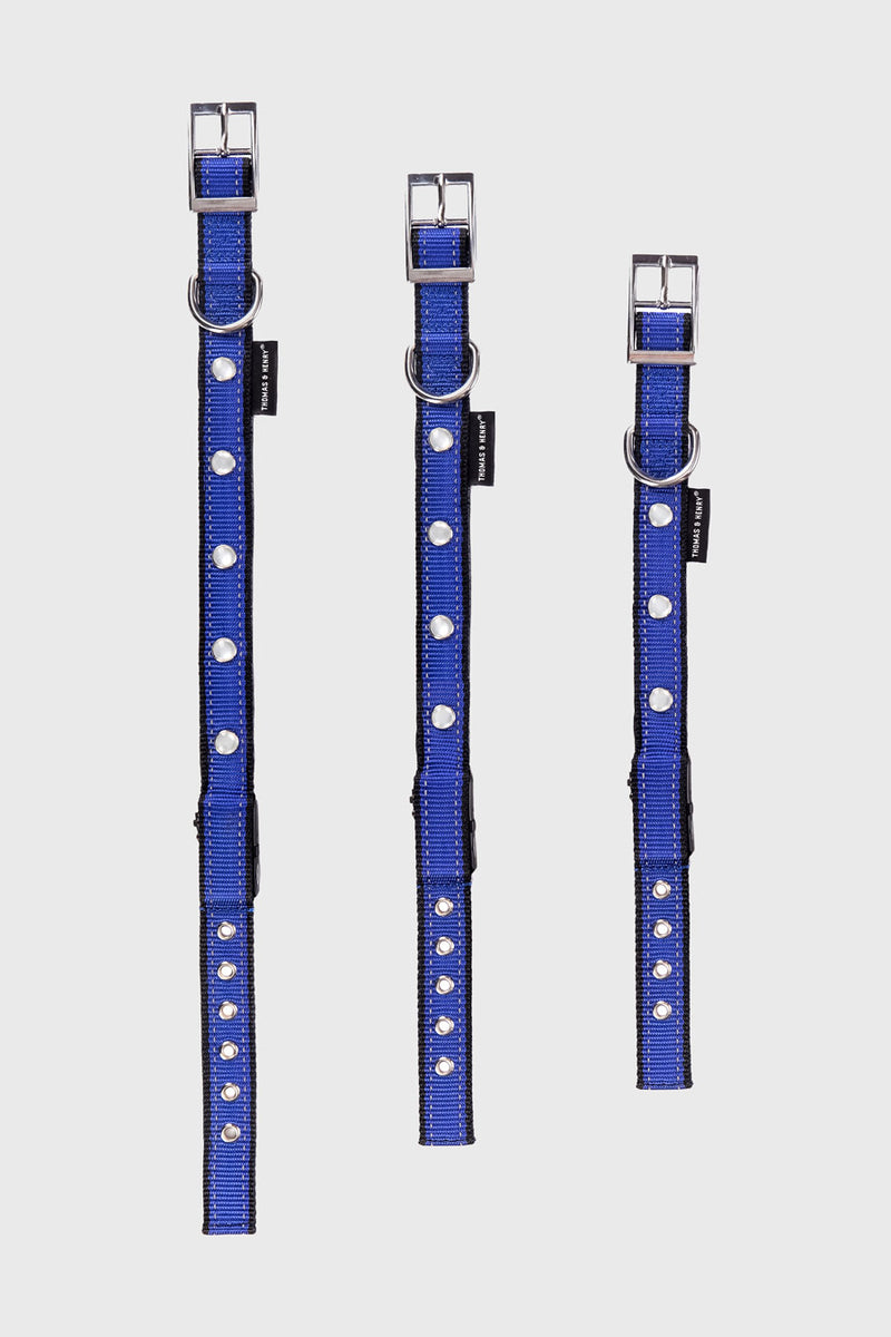 Diamant LED-Leuchthalsband in blau