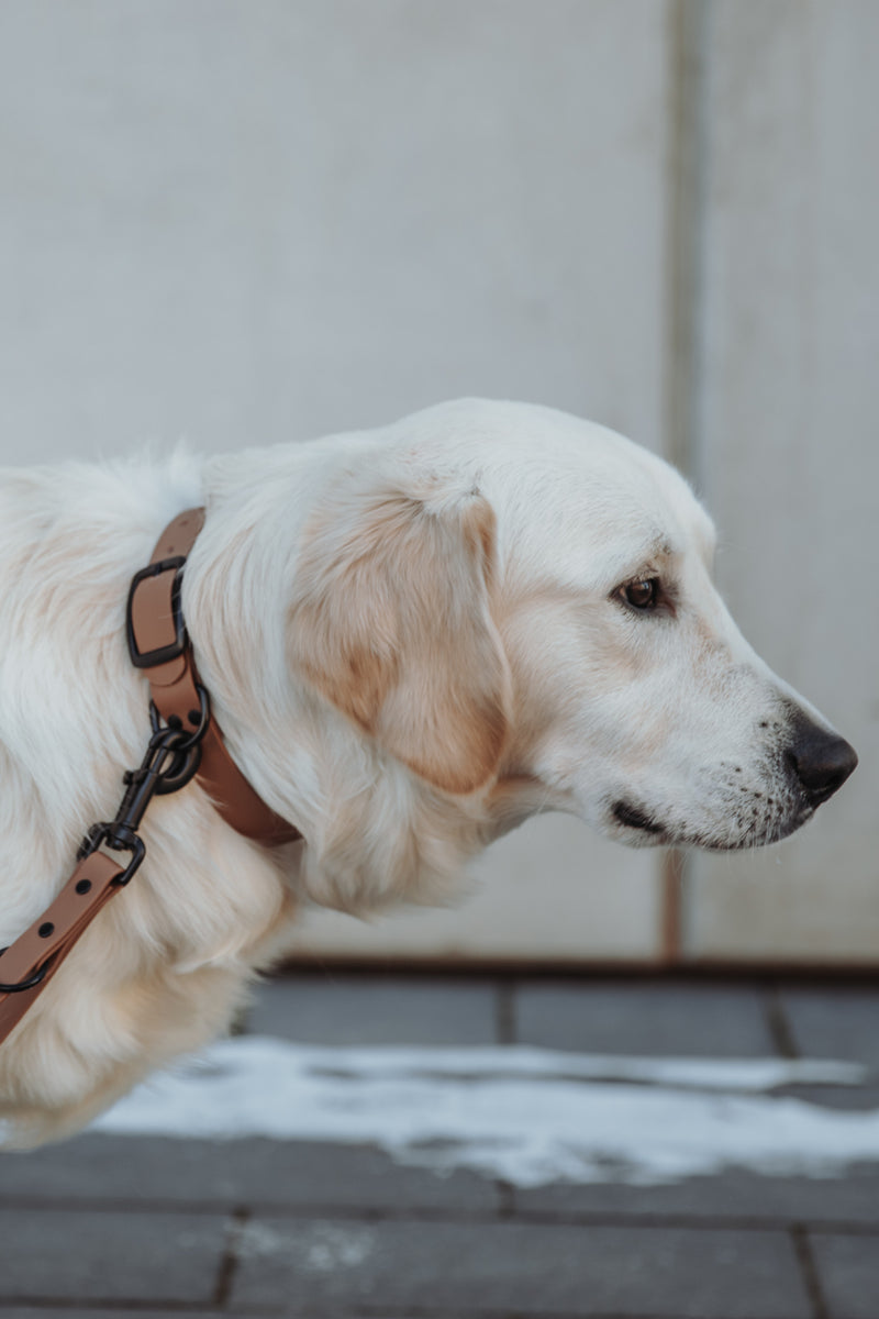 Active wear for active dogs </p> Leine in braun 2 Meter 3-fach verstellbar