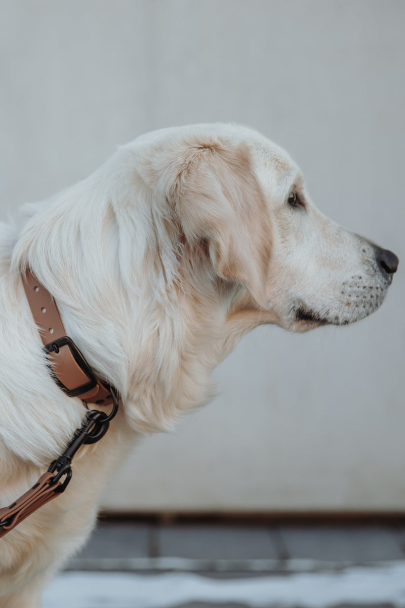 Active wear for active dogs </p> Leine in braun 2 Meter 3-fach verstellbar