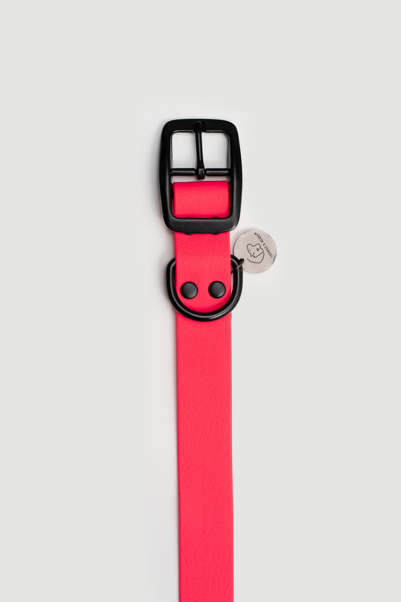 Active wear for active dogs </p> Hundehalsband in pink