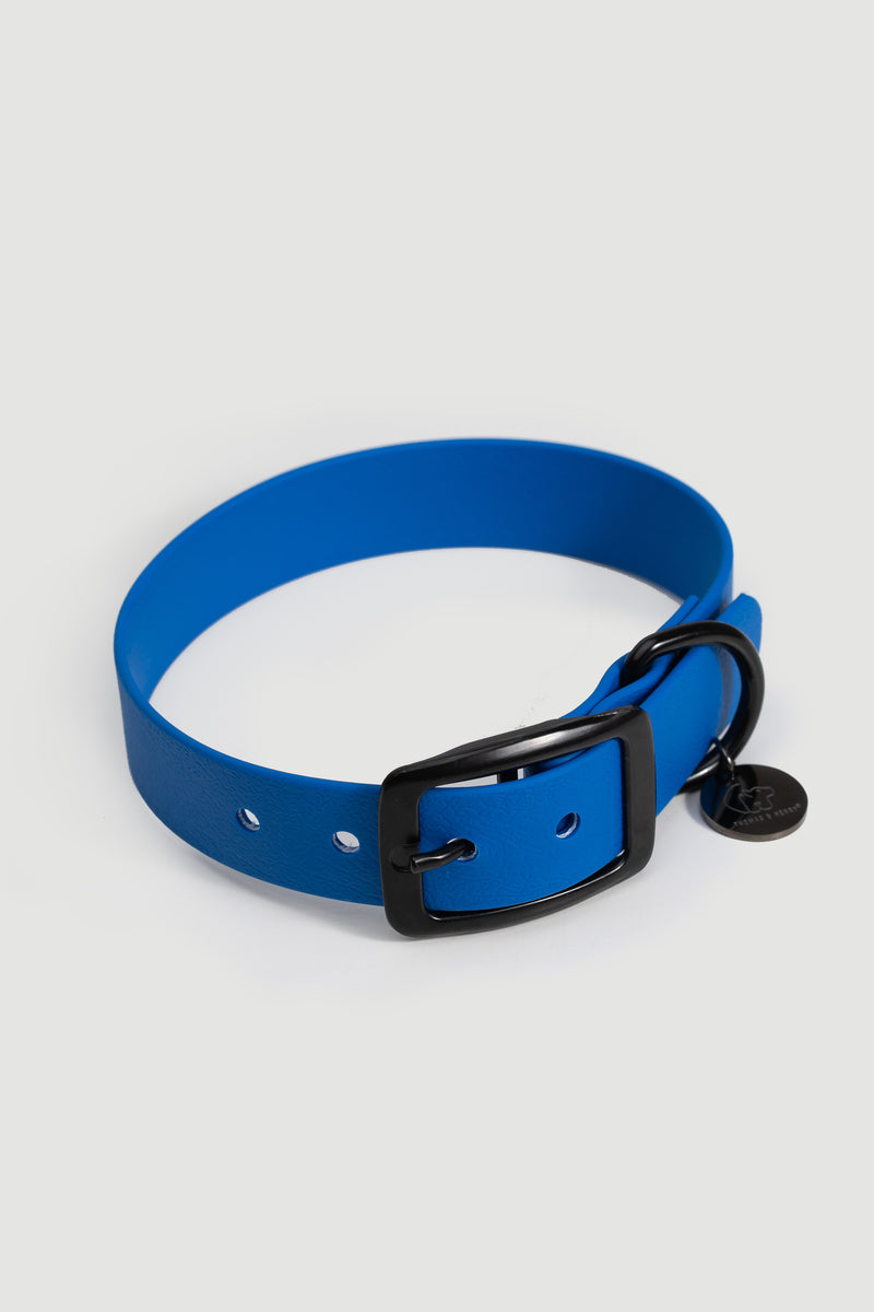 Active wear for active dogs </p> Set Hundehalsband und Leine in blau