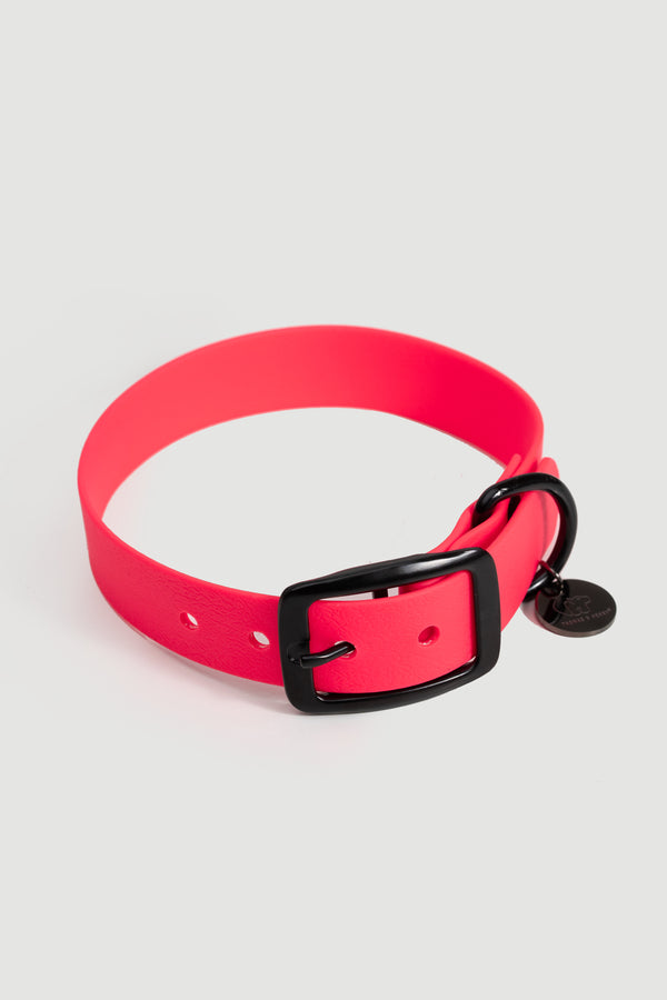 Active wear for active dogs </p> Hundehalsband in pink