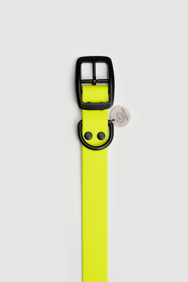 Active wear for active dogs </p> Hundehalsband in gelb