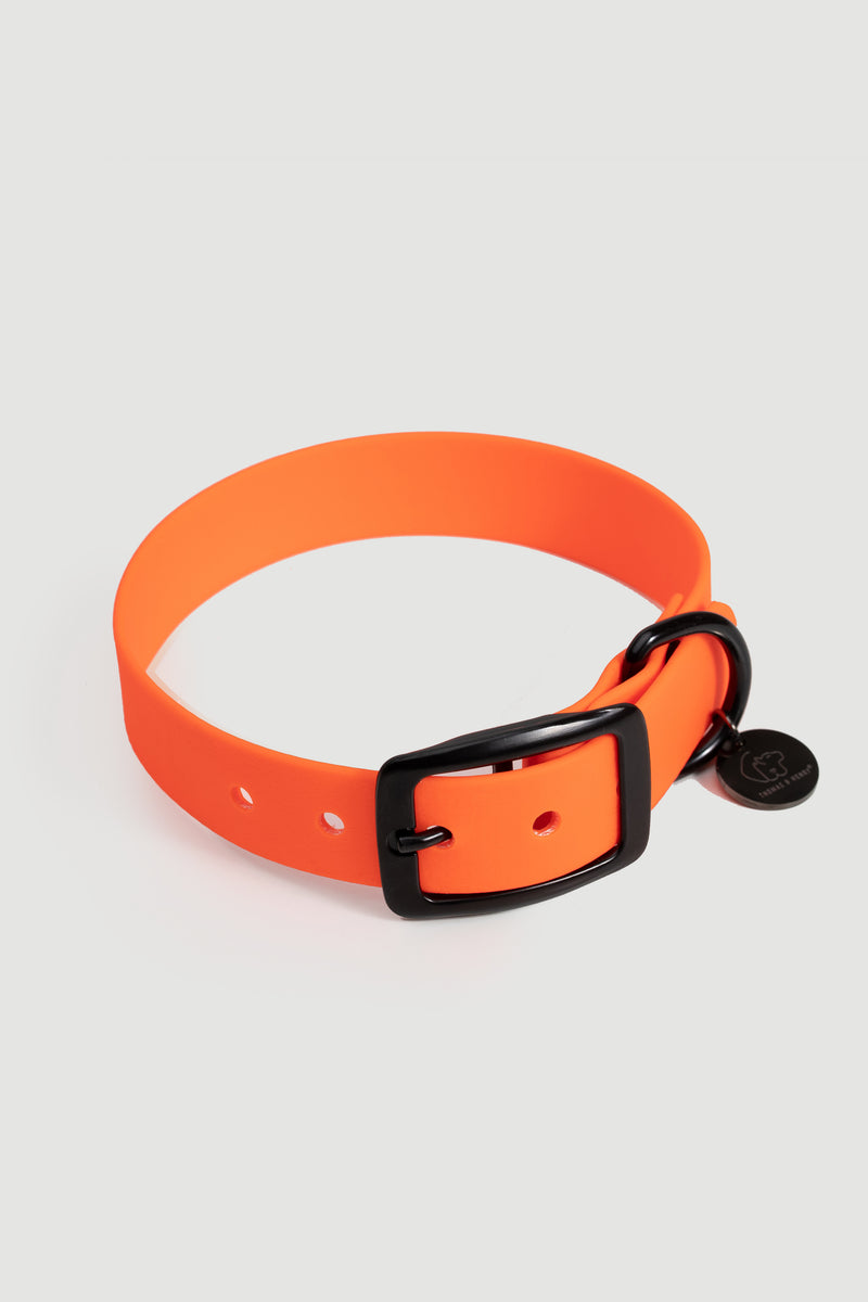 Active wear for active dogs </p> Set Hundehalsband und Leine in orange