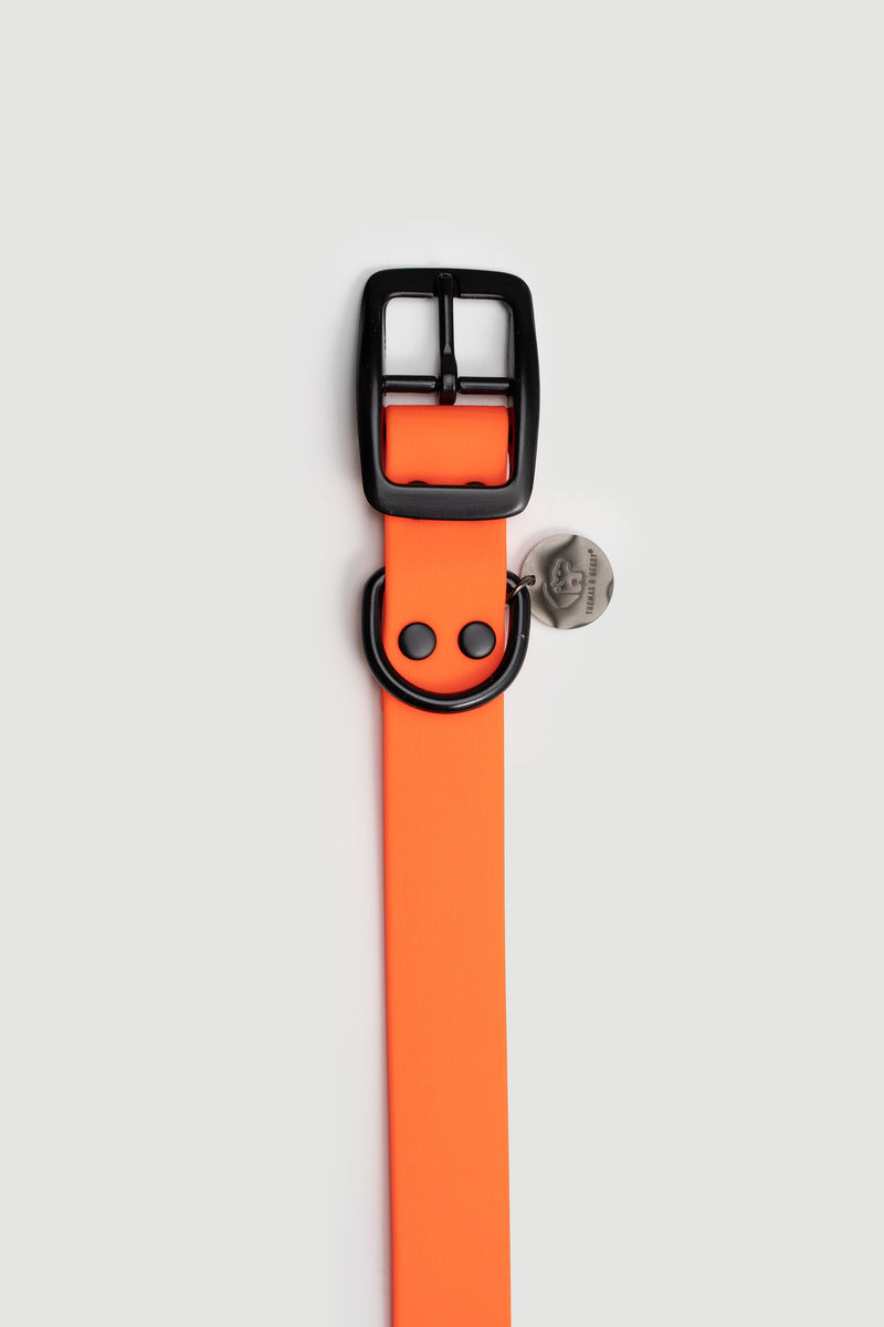 Active wear for active dogs </p> Hundehalsband in orange