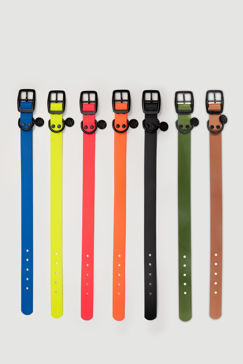 Active wear for active dogs </p> Hundehalsband in schwarz