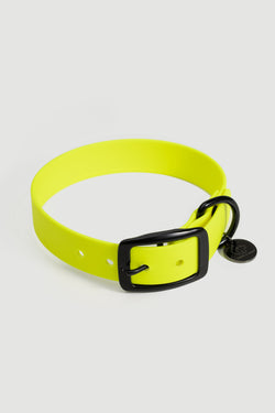 Active wear for active dogs </p> Hundehalsband in gelb