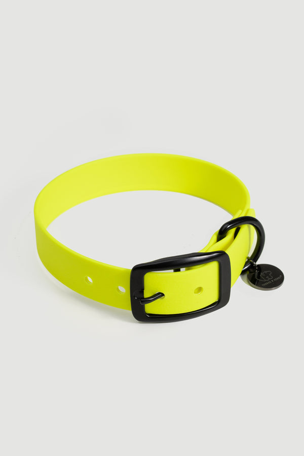 Active wear for active dogs </p> Hundehalsband in gelb