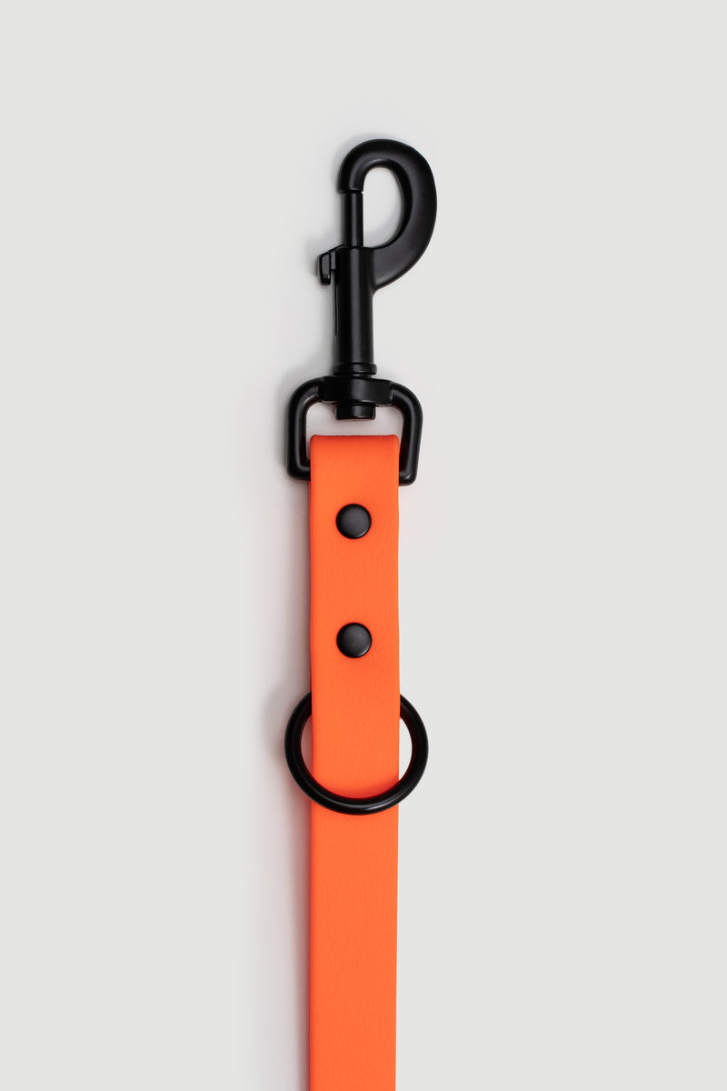 Active wear for active dogs </p> Leine in orange 2 Meter 3-fach verstellbar