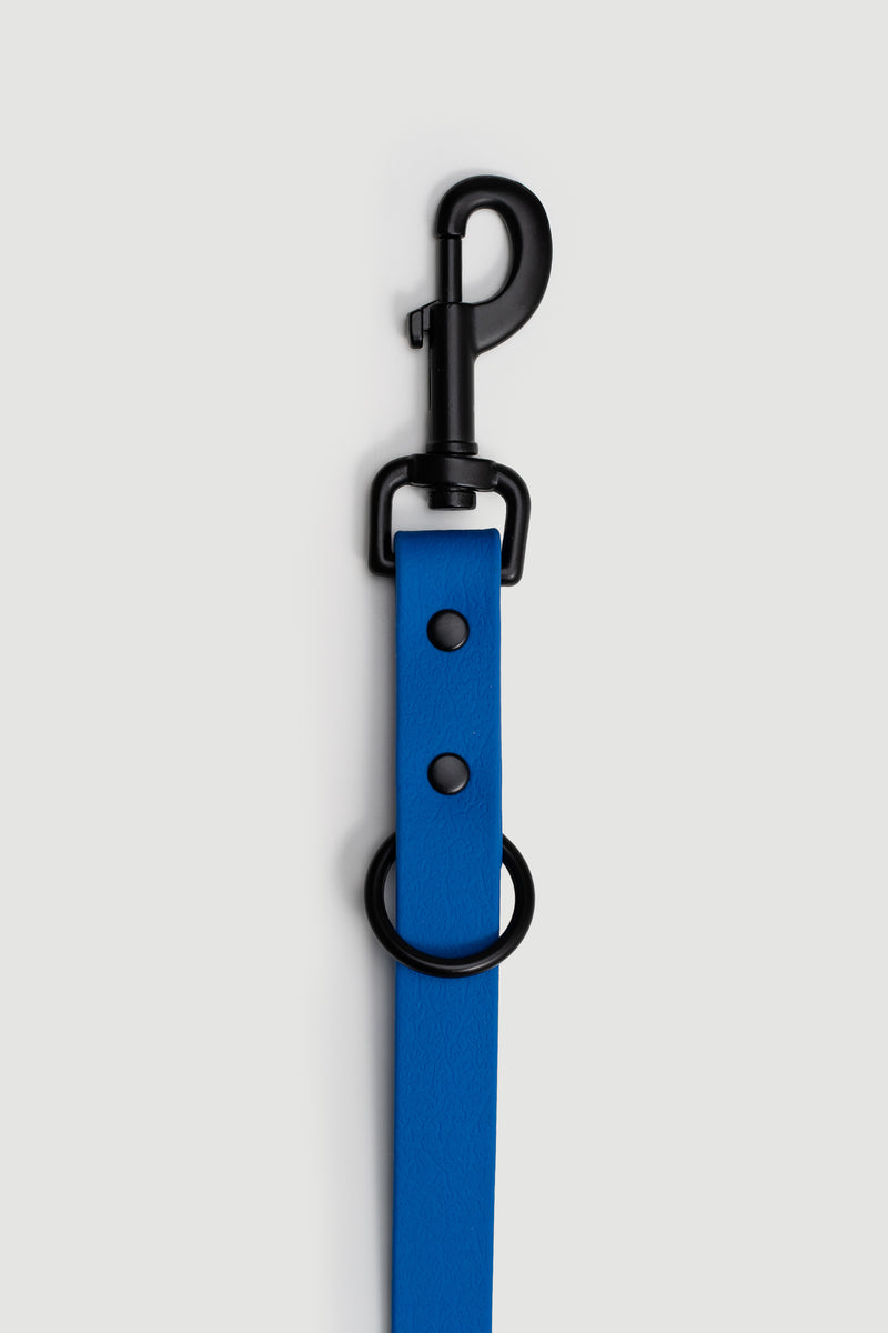 Active wear for active dogs </p> Leine in blau 2 Meter 3-fach verstellbar