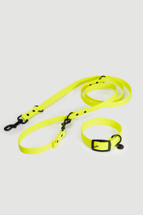 Active wear for active dogs </p> Set Hundehalsband und Leine in gelb
