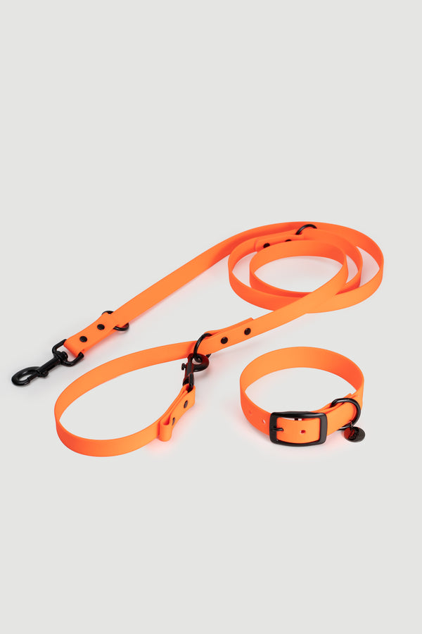 Active wear for active dogs </p> Set Hundehalsband und Leine in orange