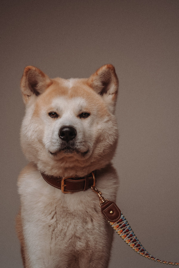BoHo-Chic </p> Hundehalsband sunset