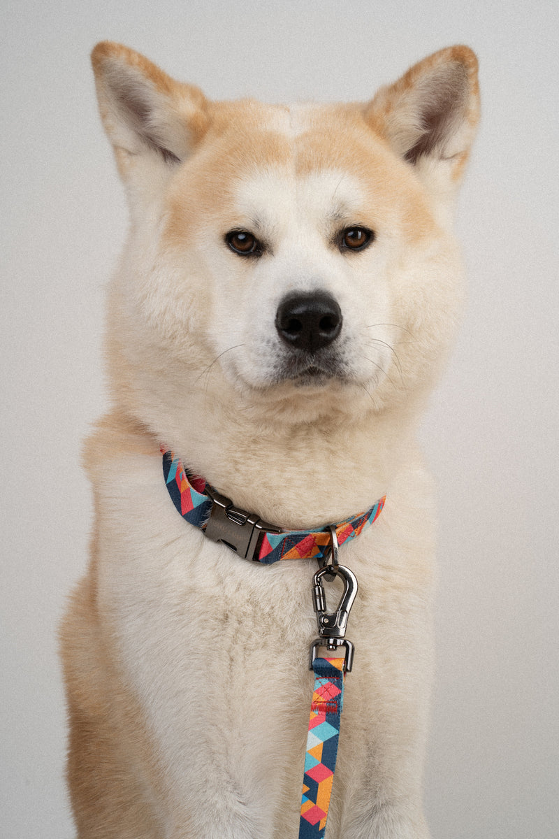 Hundehalsband Mosaik