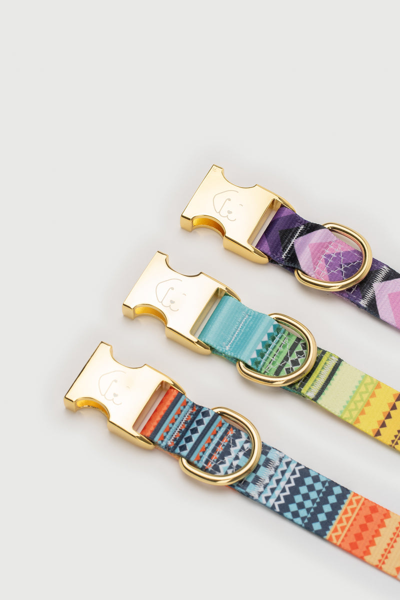 THE GOLD EDITION Hundehalsband No.1