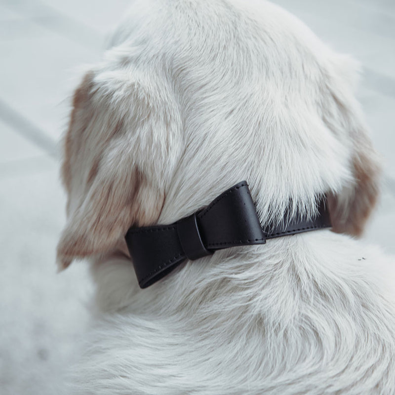 Hundehalsband aus Leder Luxury Line Set mit Schleife in schwarz
