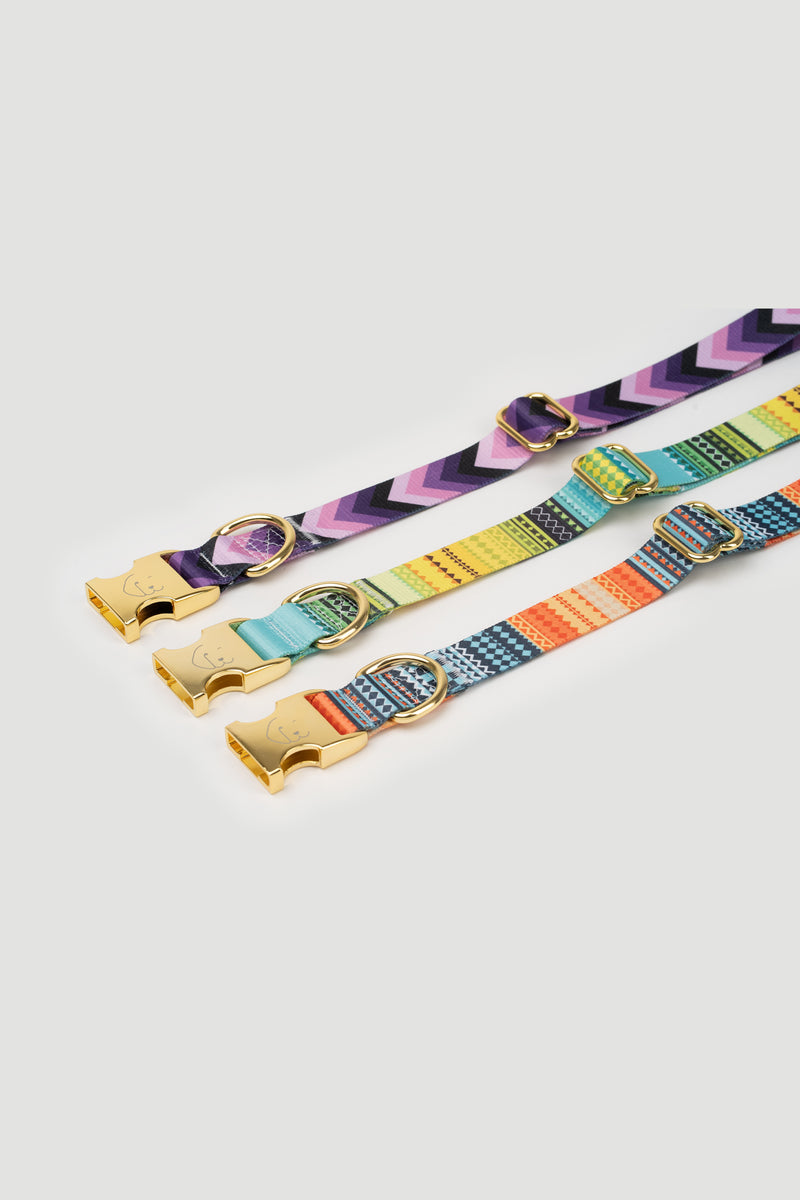 THE GOLD EDITION Hundehalsband No.2