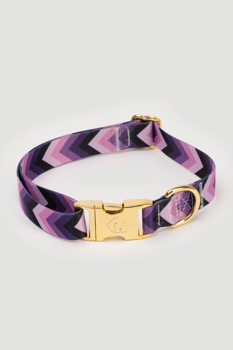 THE GOLD EDITION Hundehalsband No.2