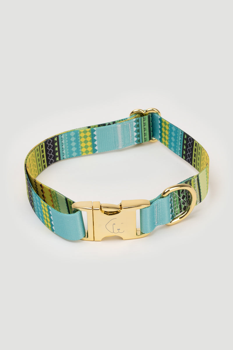 THE GOLD EDITION Set No.1 Hundehalsband und Leine