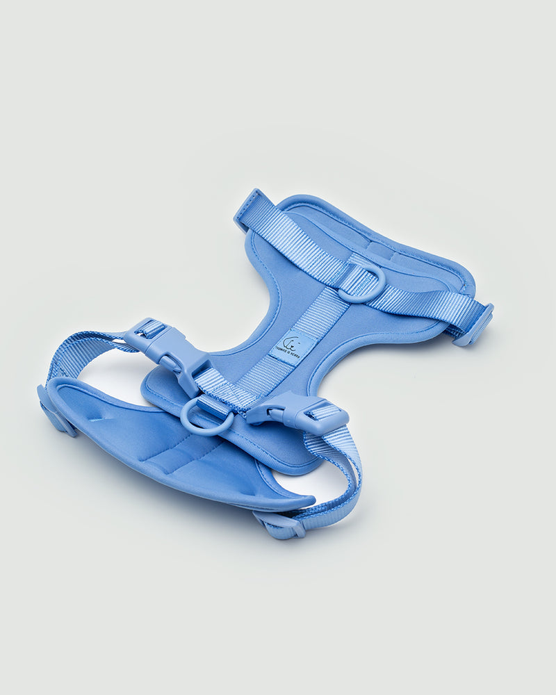 Neo. Set Hundegeschirr und Leine in light blue