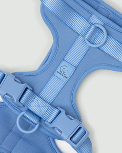 Neo. Hundegeschirr in light blue