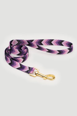 THE GOLD EDITION Leine No.2 </p>1,20 Meter