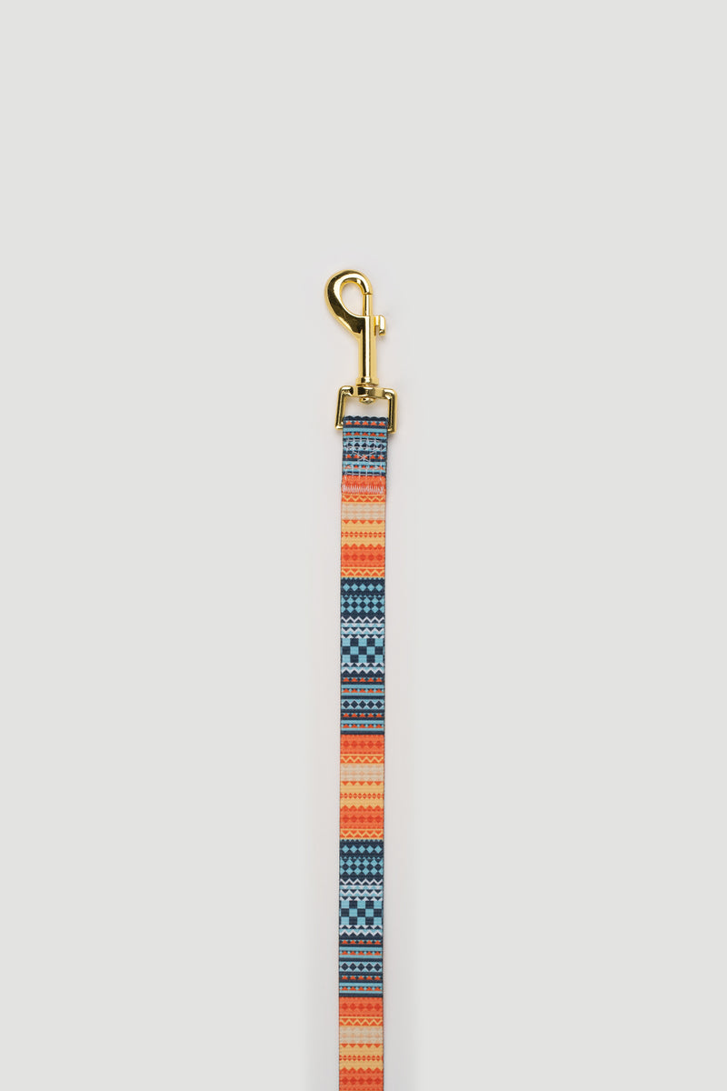THE GOLD EDITION Set No.3 Hundehalsband und Leine