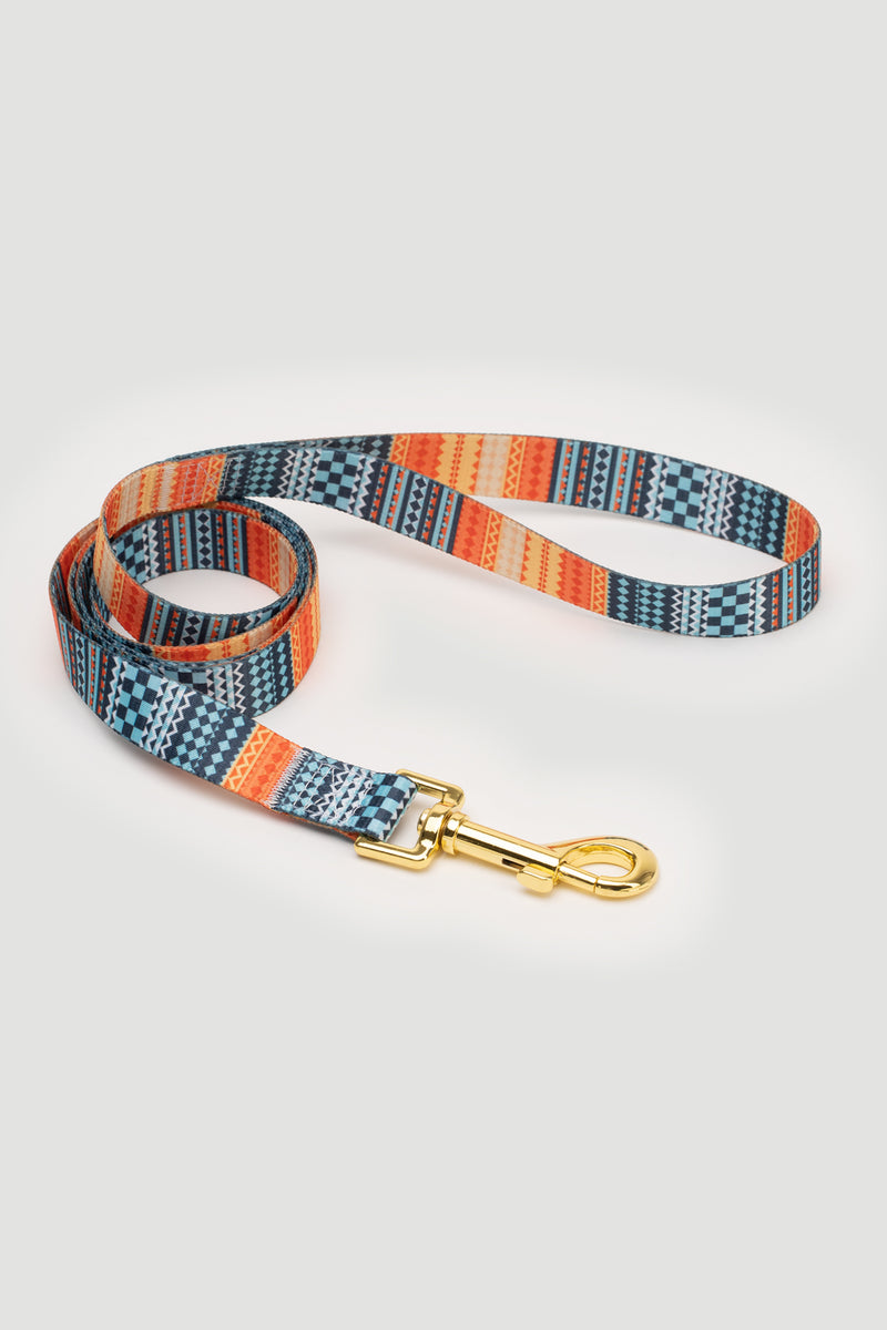 THE GOLD EDITION Set No.3 Hundehalsband und Leine