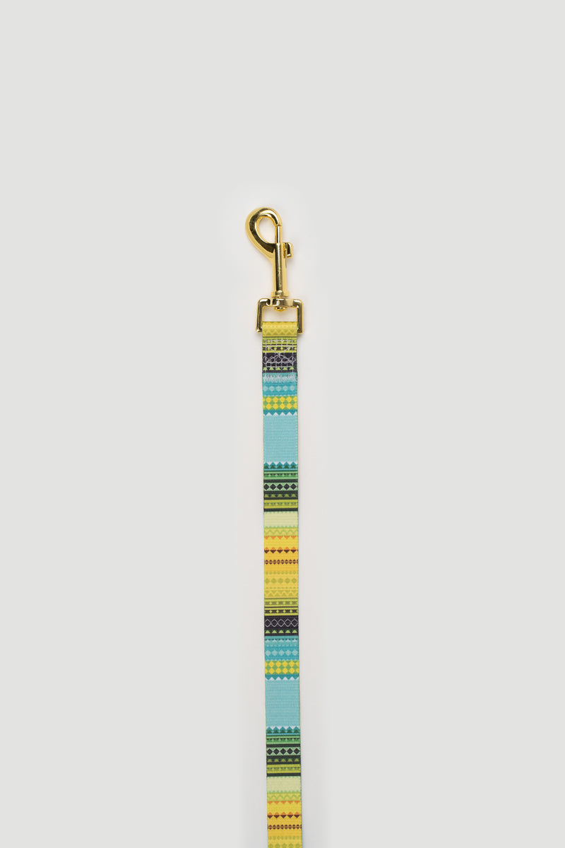 THE GOLD EDITION Set No.1 Hundehalsband und Leine