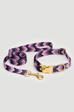 THE GOLD EDITION Set No.2 Hundehalsband und Leine