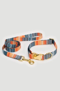 THE GOLD EDITION Set No.3 Hundehalsband und Leine