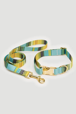 THE GOLD EDITION Set No.1 Hundehalsband und Leine