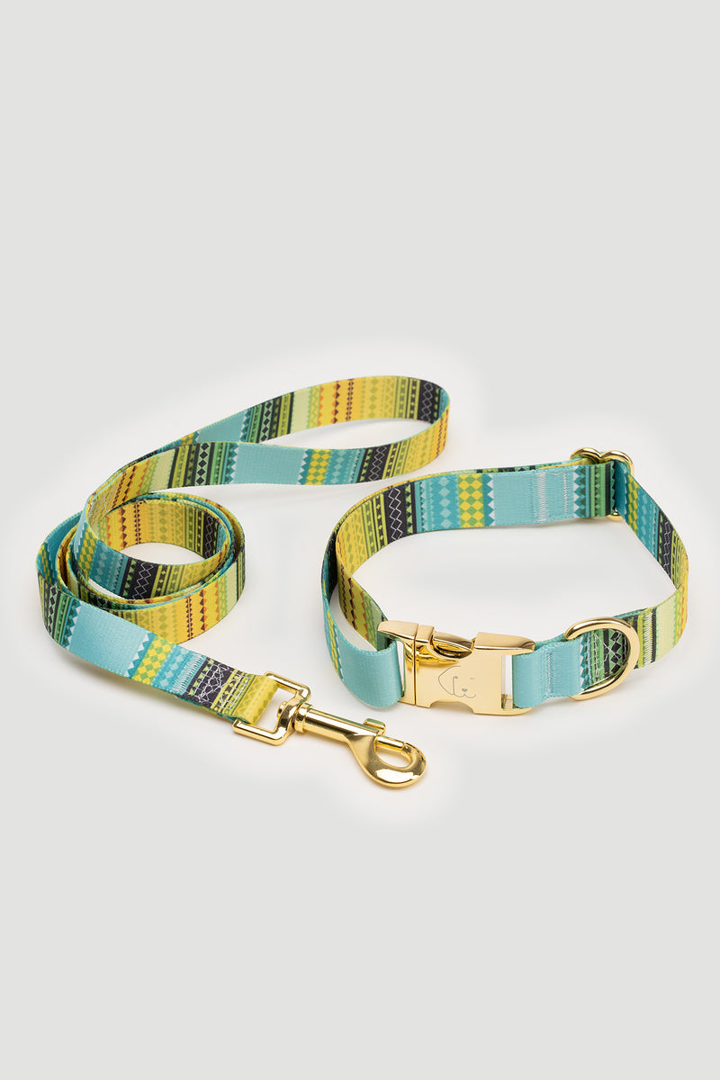 THE GOLD EDITION Set No.1 Hundehalsband und Leine